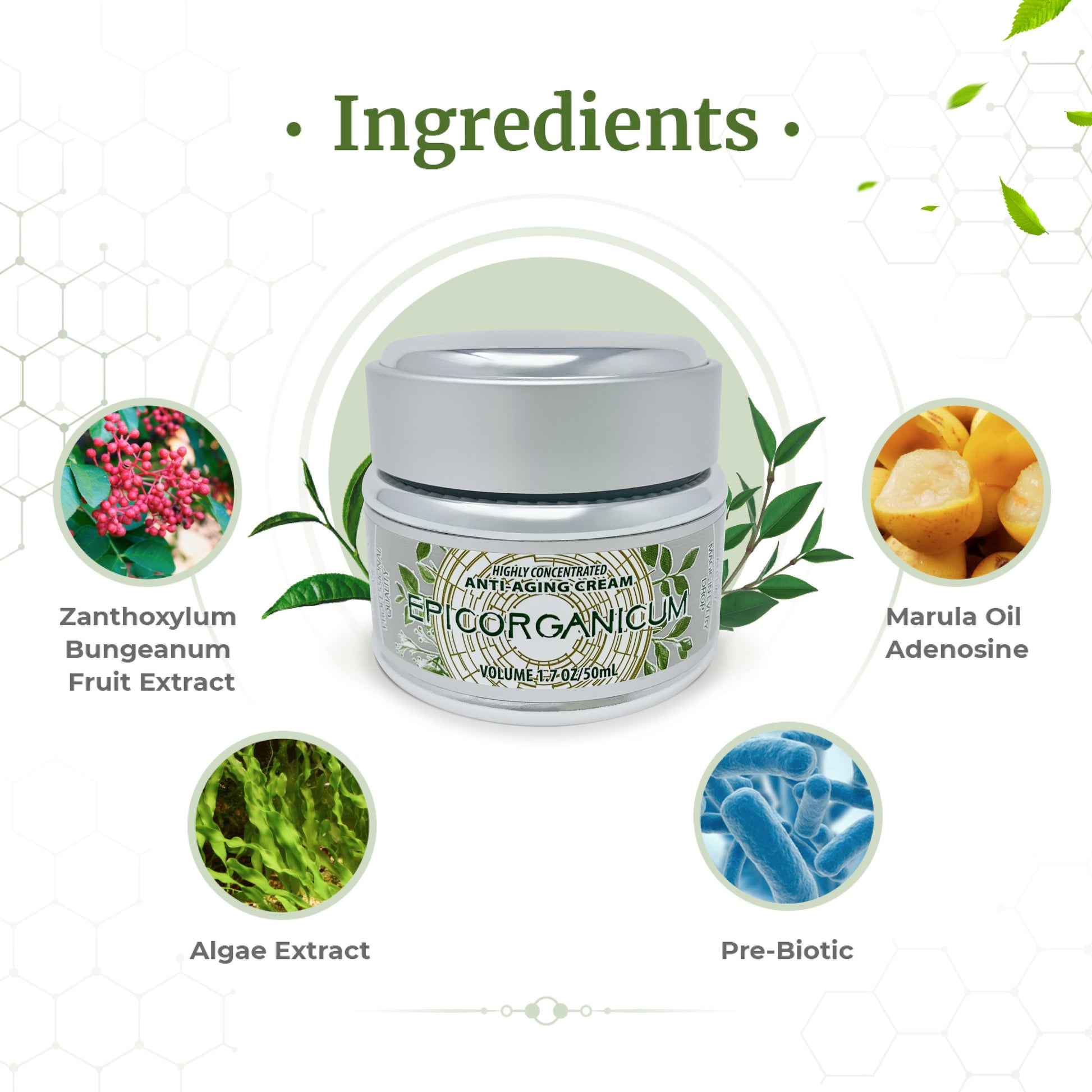 Epic Organic Platinum Formula Anti-Aging, Fine Line & Wrinkle Reducing Night Cream Epic Organic